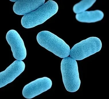 Water bacteria testing